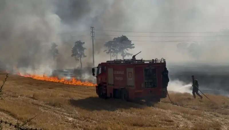 Kırklareli'nde Anız Yangını Korkuttu: Yangının Nedeni Nedir?