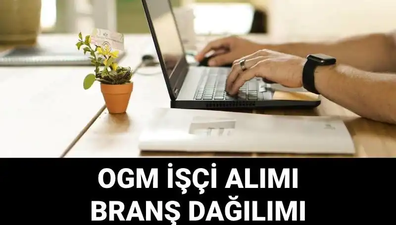 Orman Genel Müdürlüğü 4500 Geçici İşçi Alım İlanı: Başvuru ve Şartlar Neler?