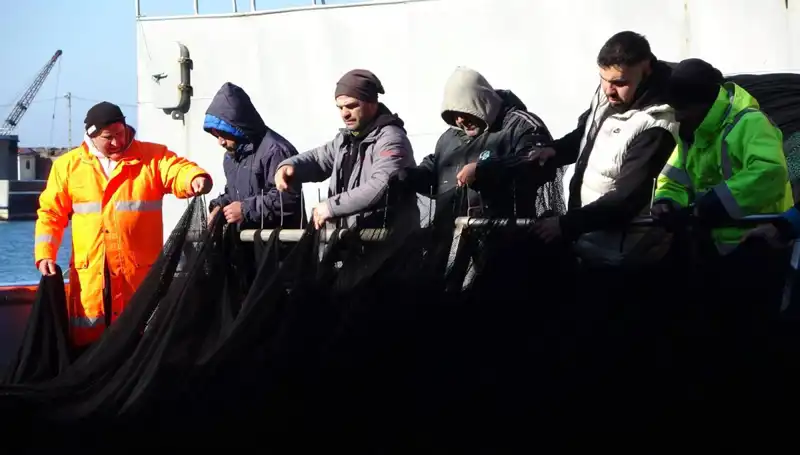 Denizlerde Hamsi Avı Son Buldu: Tekneler Neden Erken Paydos Etti?