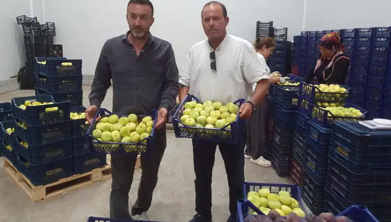 Mersinli Çiftçilerin Yüzü Güldü: İhracat Fırsatları Artıyor