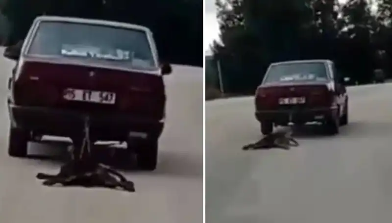 Otomobilin Arkasına Bağlı Köpeğin Sürüklenmesi Şok Etti