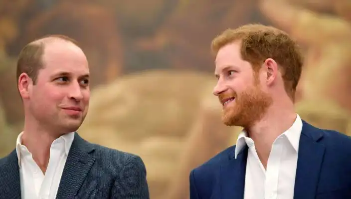 Prens Harry ve Prens William’ın Küslüğü, Monarşinin Geleceğini Tehlikeye Atabilir