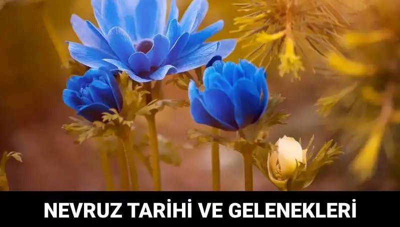 Nevruz Bayramı: Gelenekleri ve Kutlanma Tarihleri Hakkında Her Şey
