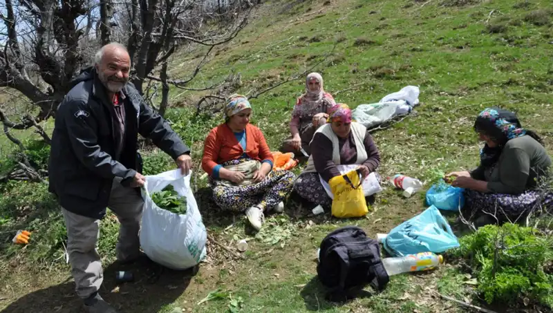 Dağlarda 5 Saat Yürüyüşle Toplanan Nadir Mantarın Hikayesi