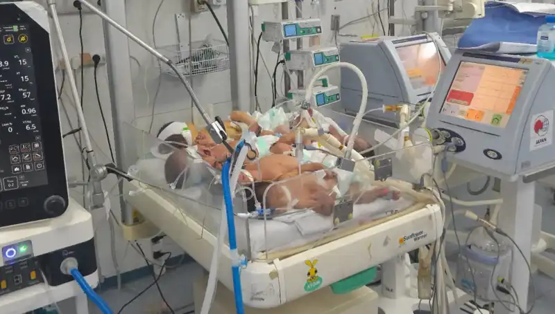 Gazzeli Doktorlar Çaresiz: Aynı Kuvözdeki Birden Fazla Bebek Drama Dönüştü