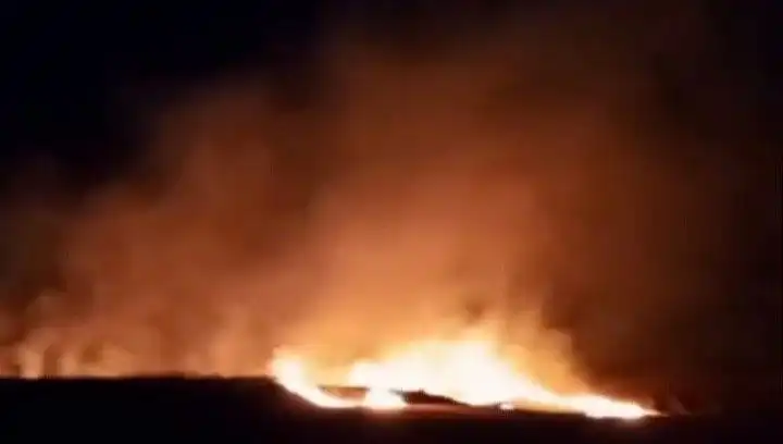 Tekirdağ'da 20 Dekar Buğday Alanı Yangınla Kül Oldu: Çiftçiler Zor Durumda