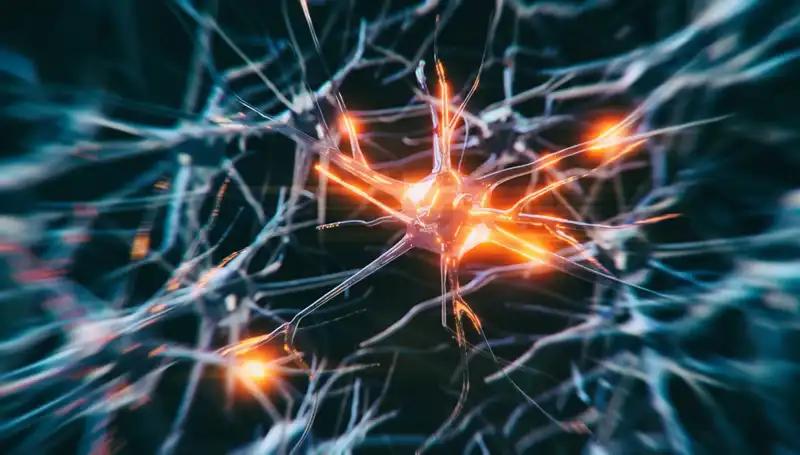 Alzheimer Vakaları Hızla Artıyor: Nedenleri ve Çözüm Yolları
