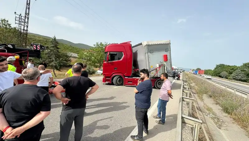 Seyir Halindeyken Arı Soktu: Şok Edici Trafik Kazasının Ardındaki Gerçekler