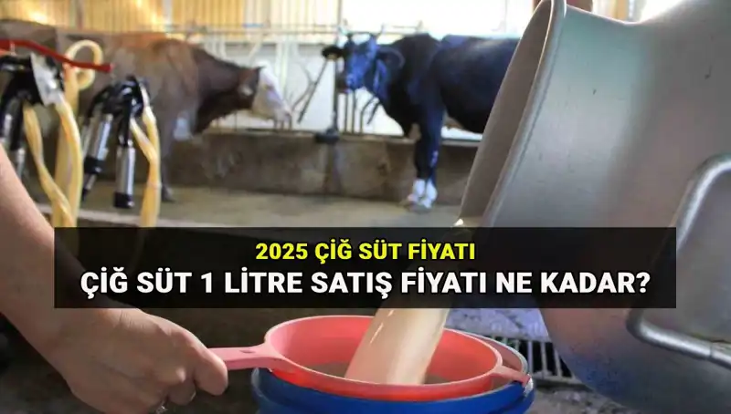 Ulusal Süt Konseyi'nden Süt Fiyatları Açıklaması: 2025 Hedefleri Neler?