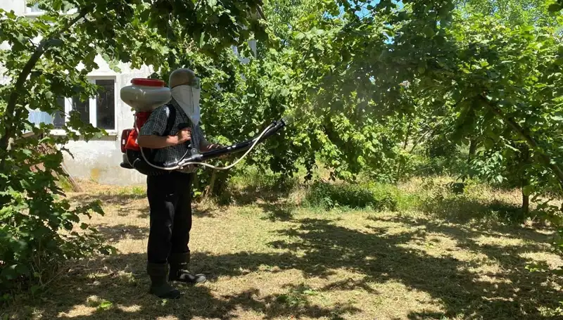Küresel İklim Değişimiyle Mücadele: Çiftçinin Umudu Kükürt ve Samuray Arısı