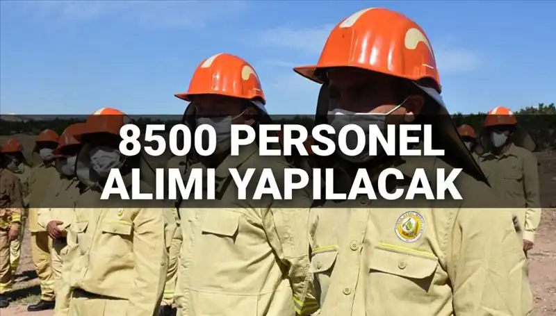Tarım ve Orman Bakanlığı 2025 Personel Alımı: 8,500 Kadro Detayları Açıklandı