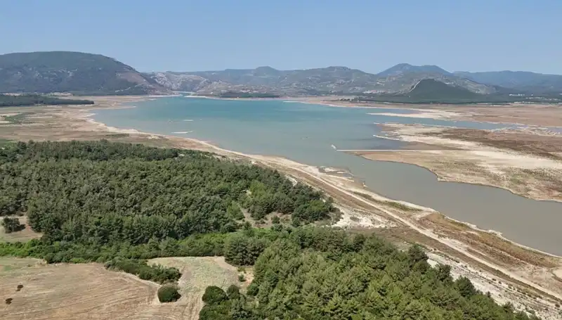 İzmir'de Tehlike Zilleri: Kriz Ortamında Yüzde 50 Düşüş Nedenleri